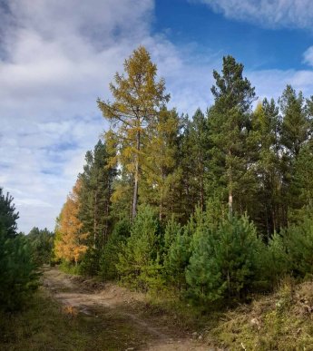 Осенняя фото-экскурсия в работах Петелиной Натальи Викторовны