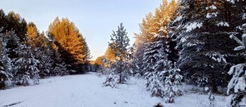 Зима в работах участников фото-студии "ФотоМиг". Руководитель Лобенко Наталья Петровна